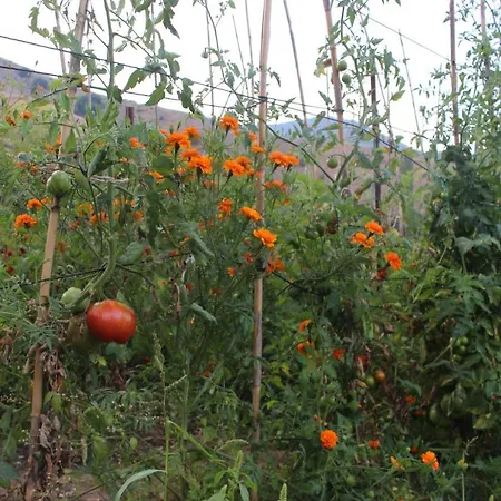 Апартаменты Kivotos Epavlis *