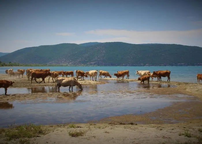 Kivotos Epavlis Apartamento Prespes